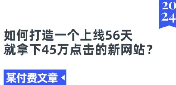 如何打造一个上线56天就拿下45万点击的新网站? 某付费文章