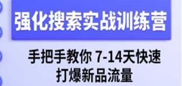淘宝强化搜索实战训练营，教你7-14天快速打爆新品流量