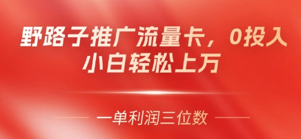 野路子推广流量卡，一单利润上百，0投入，小白轻松上万