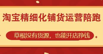 淘宝精细化铺货运营陪跑教程，没有货源也能开店挣钱