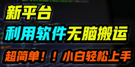 新平台用软件无脑搬运，月赚1w+，小白也能轻松上手