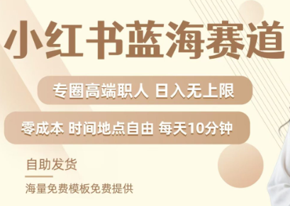 小红书蓝海赛道，圈中高端职场人，月入无上限，可矩阵，内含私域实操教程!