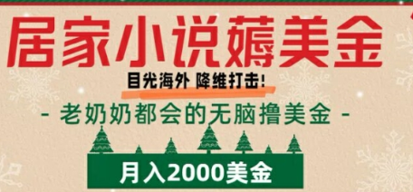 居家小说薅美金，拆解海外撸美金项目月入2000美刀详细指导