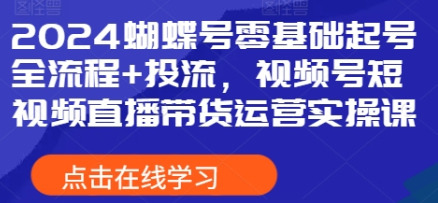 2024蝴蝶号零基础起号全流程+投流，视频号短视频直播带货运营实操课