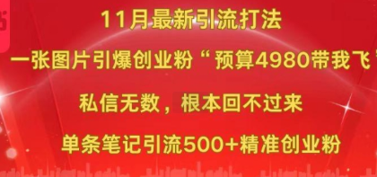 小红书11月最新图片打粉，一张图片引爆创业粉，“预算4980带我飞”，单条引流500+精准创业粉