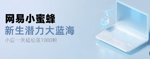 网易小蜜蜂，最新大蓝海项目，单日轻松日涨千粉