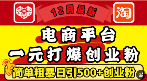 12月最新：电商平台1元打爆创业粉，简单粗暴日引500+精准创业粉，轻松月入过W