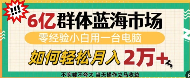 6亿群体蓝海市场，零经验小白用一台电脑，如何轻松月入过w【揭秘】