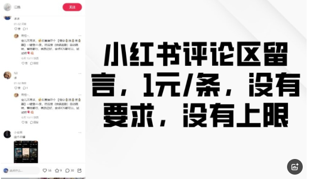 小红书评论区留言，1元条，没有要求，没有上限