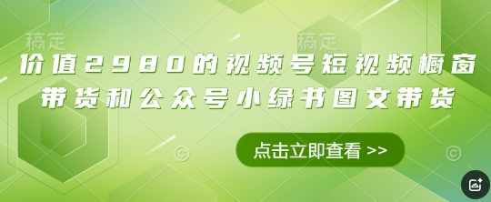价值2980的视频号短视频橱窗带货和公众号小绿书图文带货