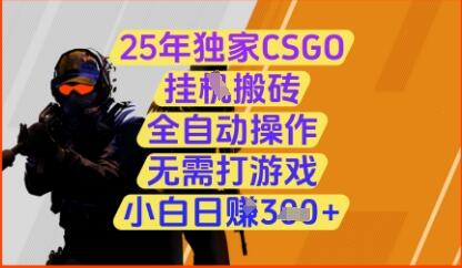 25年独家CSGO挂G搬砖，全自动操作，无需打游戏，小白日入3张+【揭秘】
