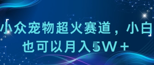小众宠物超火赛道，小白也可以月入1w+