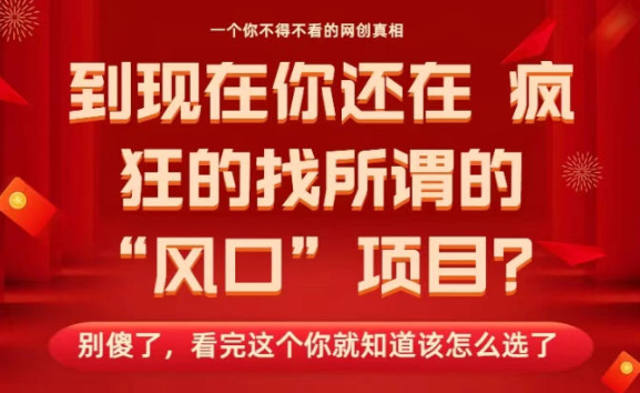 马上26年了，你还在找所谓的风口项目？别傻了，看完这个你全都懂了！【揭秘】