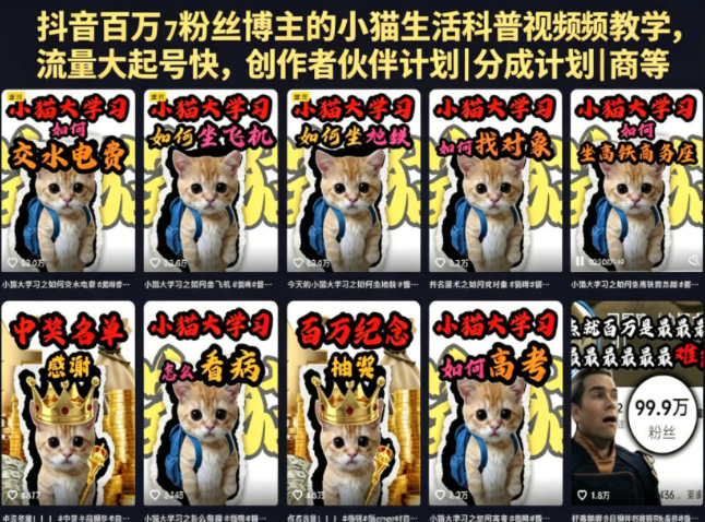 图片[1]-抖音百万粉丝博主的小猫生活科普视频教学，流量大起号快，创作者伙伴计划|分成计划|商单|收徒等