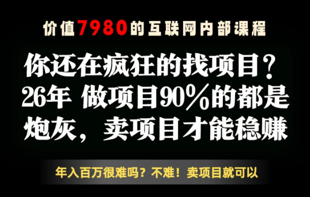 图片[1]-26年请不要疯狂的找项目了，卖项目远比你想象的暴利，你也可以月入10W+【揭秘】