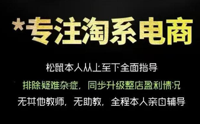 松鼠会电商VIP课程，从基础布局到高阶优化，助你掌握淘宝运营逻辑，提升店铺流量与转化（更新0815）