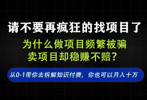 找项目？别傻了！卖项目才是真的一本万利！看完你全都懂了【揭秘】