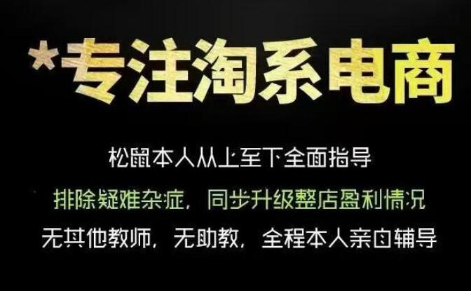 松鼠会电商VIP课程，从基础布局到高阶优化，助你掌握淘宝运营逻辑，提升店铺流量与转化（更新0901）